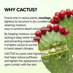Cactox Pore Relief Jelly Serum Mist